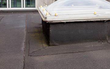 disadvantages of Withersdale Street flat roofs